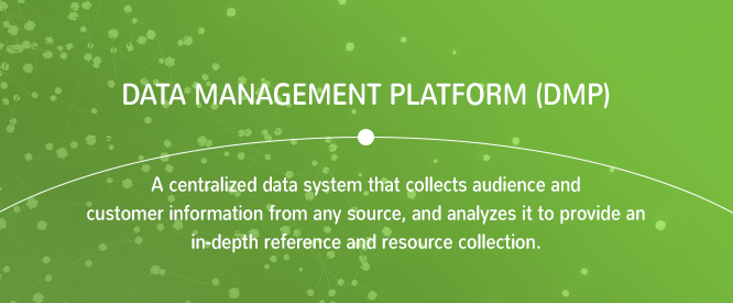 Plataforma de gestión de datos (DMP)